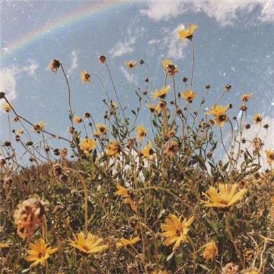 kaiyun下载-登录入口