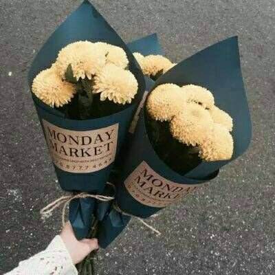 今期澳门三肖三码开一码