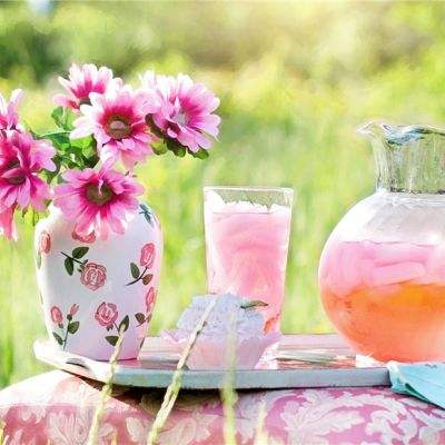 澳门4949资料免费大全下载手机版